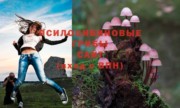 соль курить ск Покровск