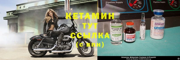 шишки Пересвет