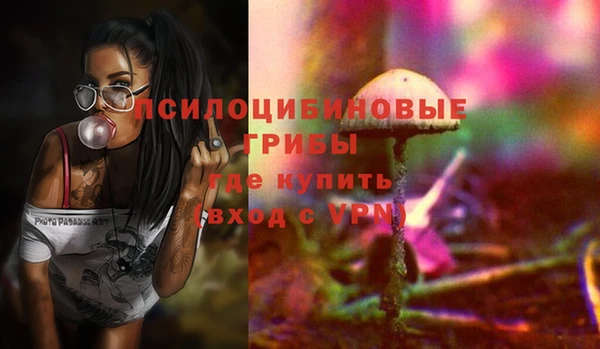 дмт Переславль-Залесский