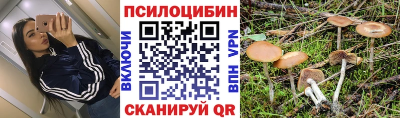Галлюциногенные грибы мицелий  ОМГ ОМГ ТОР  Руза 